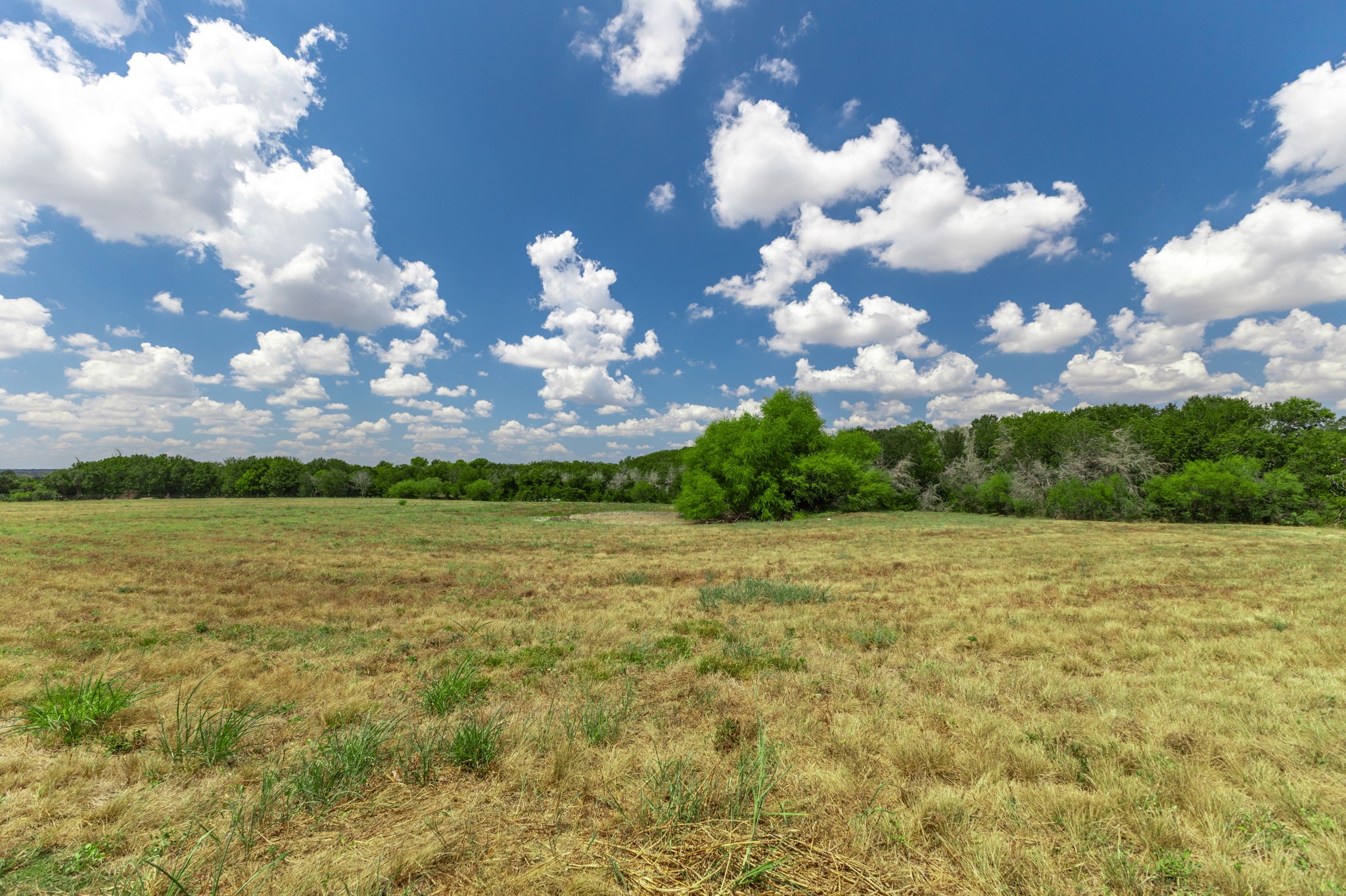 2805 Deer Road Brenham, TX 77833 - Photo 6 of 17 Gallery Image 6