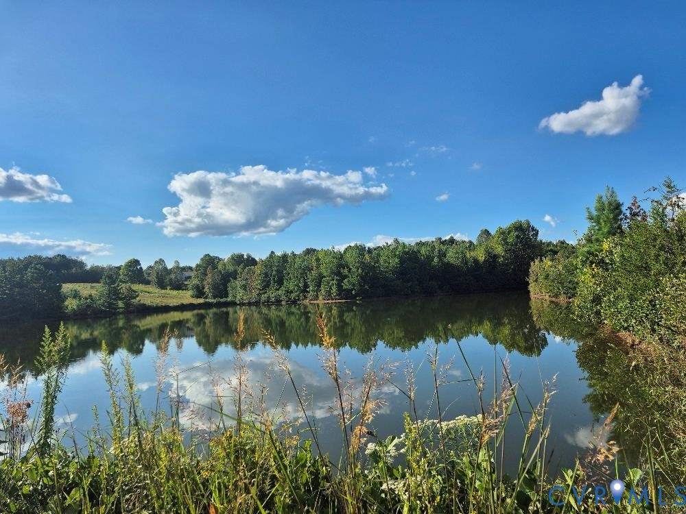 a body of water with a tree in the background