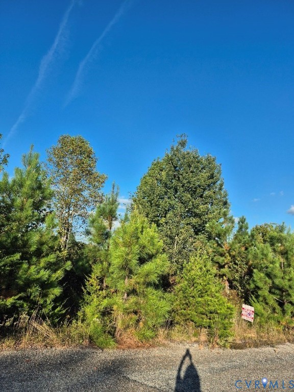 0 Fort Drive Pamplin, VA 23958 - Photo 2 of 6 a view of a garden with plants