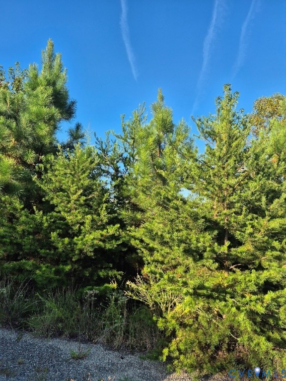 0 Fort Drive Pamplin, VA 23958 - Photo 4 of 6 a view of a garden