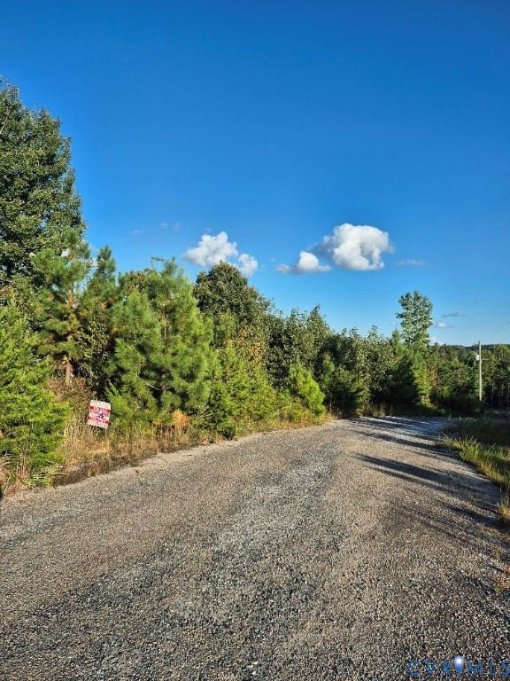 0 Fort Drive Pamplin, VA 23958 - Photo 6 of 6 a view of a yard with a tree