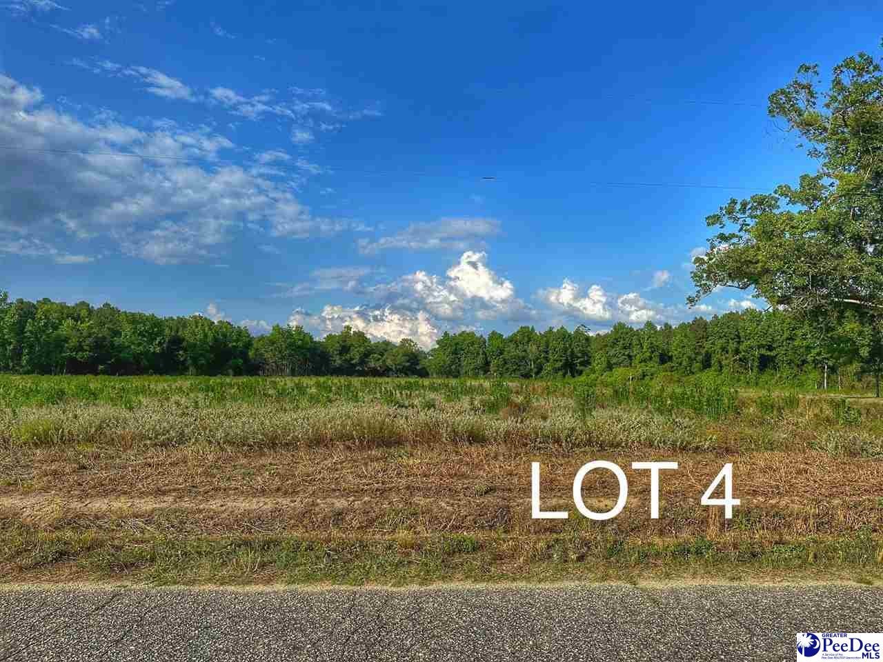 Lot 4 Oliver Road Hamer, SC 29547 - Photo 1 of 1 Gallery Image 1