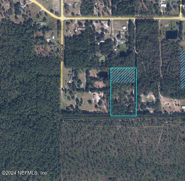 2085 Mallard Road Middleburg, FL 32068 - Photo 3 of 38 Mallard satelite view