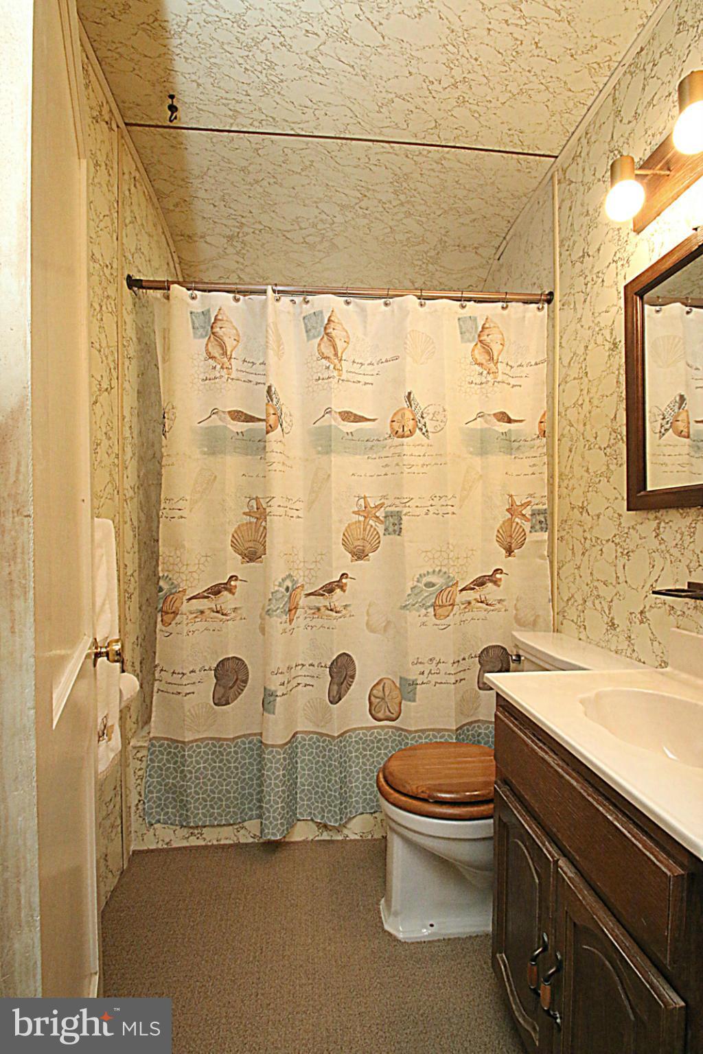 2004 Jasmine Road Baltimore, MD 21222 - Photo 12 of 29 a bathroom with a sink a toilet and shower curtain