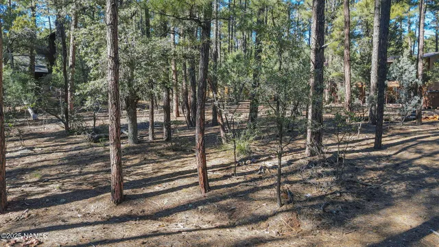 $150,000 | 110 Bradshaw Drive, Pine, AZ 85544