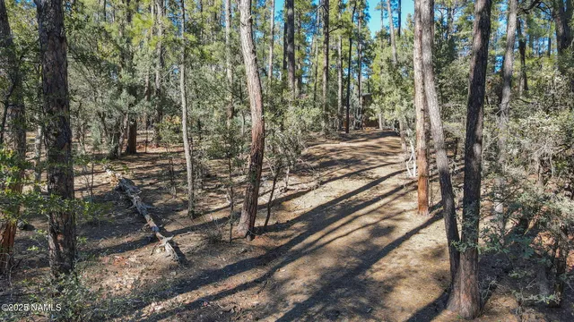 $150,000 | 110 Bradshaw Drive, Pine, AZ 85544