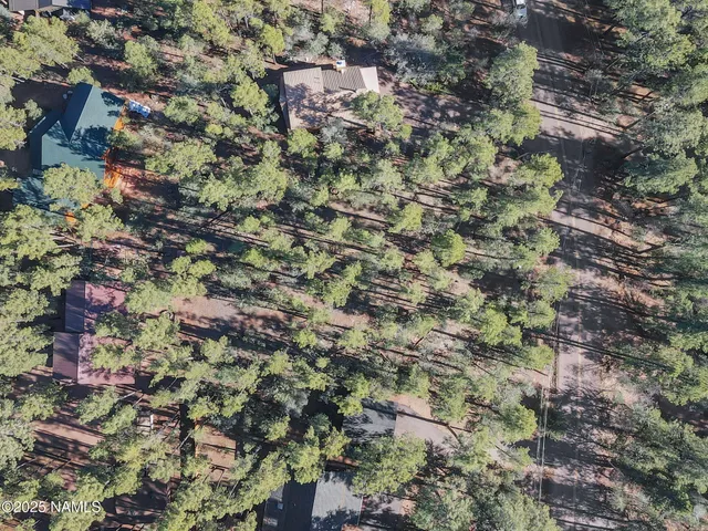 $150,000 | 110 Bradshaw Drive, Pine, AZ 85544