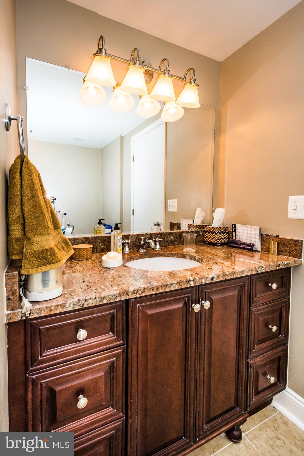 22 Cross Keys Road, Unit 22C Baltimore, MD 21210 - Photo 19 of 38 Master Bath's large vanity.