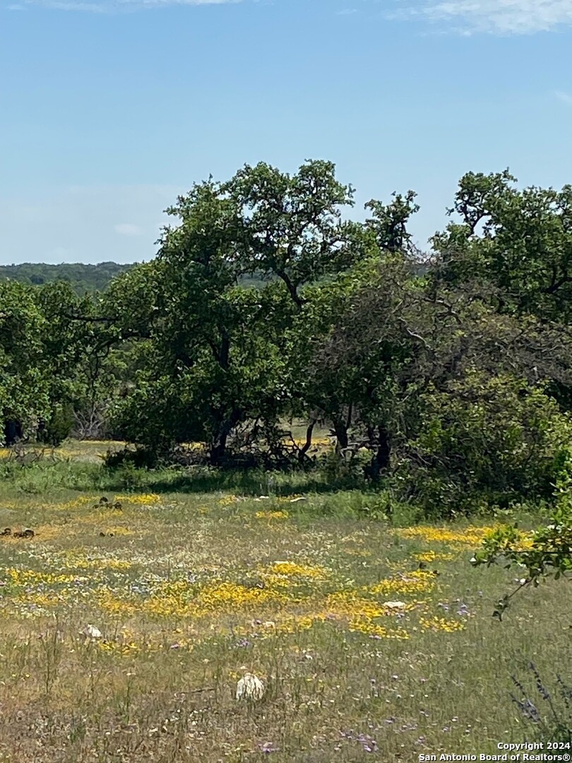 Tbd Taurus Ln Taurus Junction, TX 76849 - Photo 3 of 10 a view of a lake view