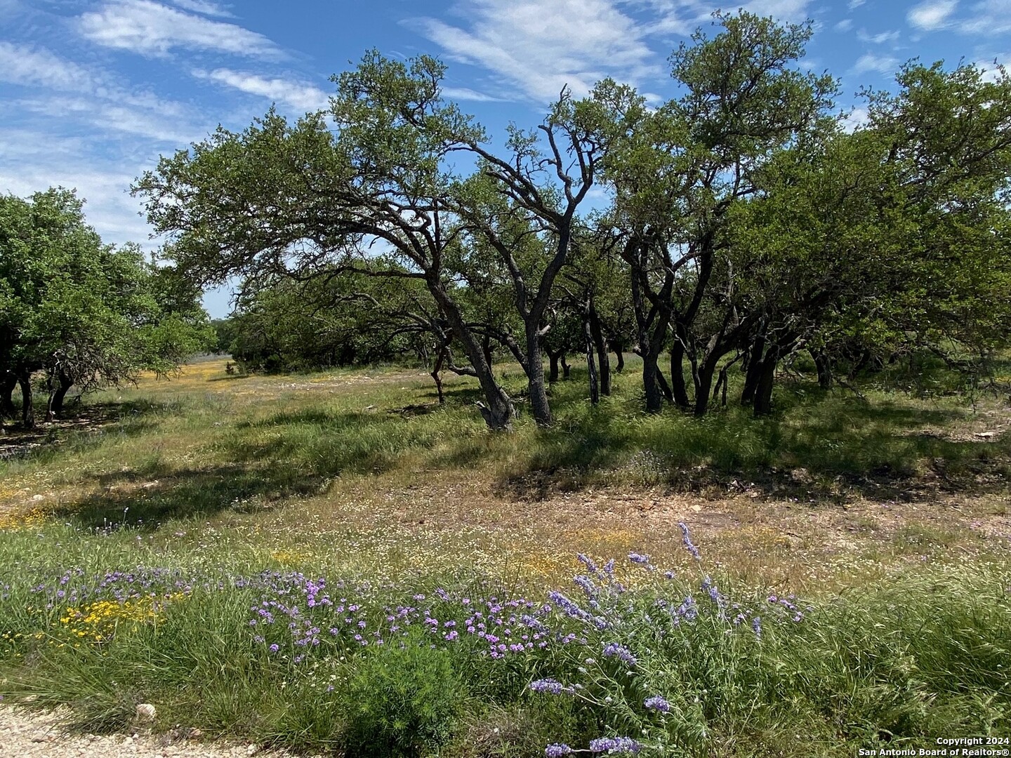 Tbd Taurus Ln Taurus Junction, TX 76849 - Photo 4 of 10 a view of outdoor space with trees all around