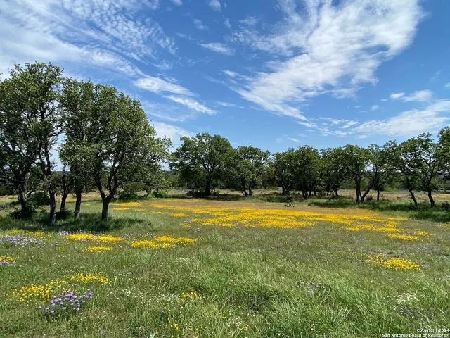 a view of a swimming pool with a yard