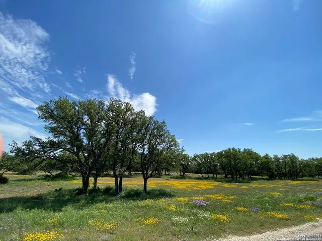 a view of an outdoor space and a yard