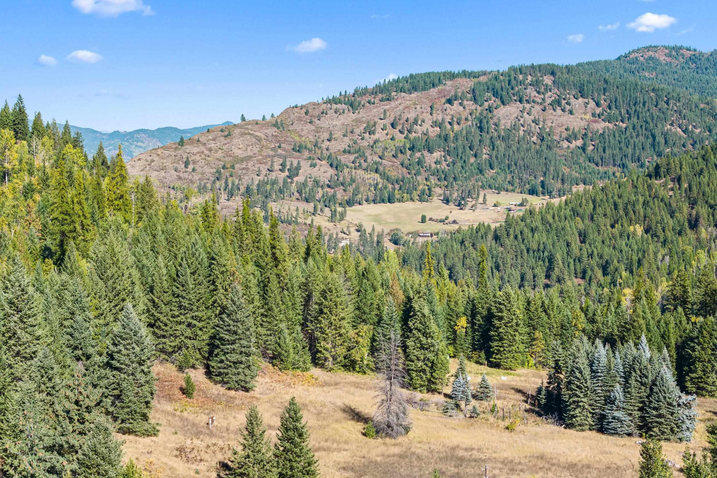 3841 Deep Lake Boundary Road Colville, WA 99114 - Photo 31 of 43