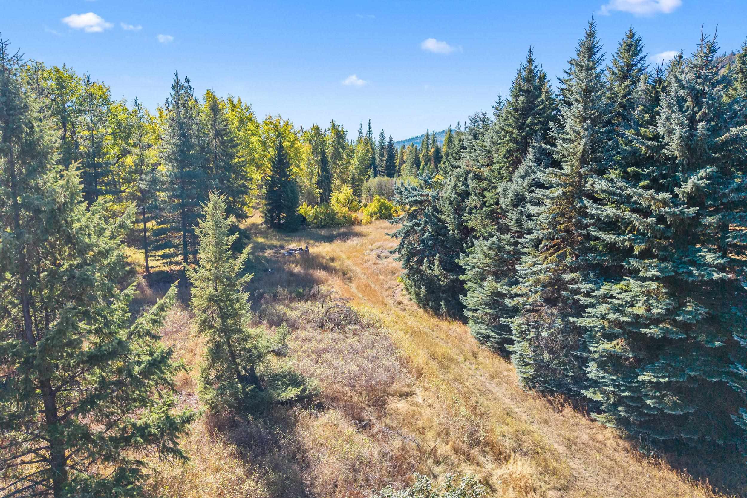 3841 Deep Lake Boundary Road Colville, WA 99114 - Photo 33 of 43