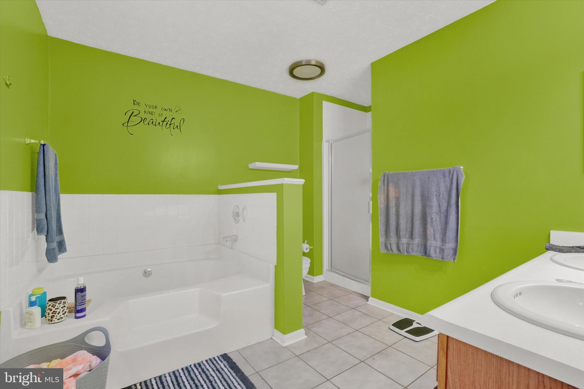 151 Cold Stream Trail Felton, PA 17322 - Photo 9 of 31 Primary Bathroom