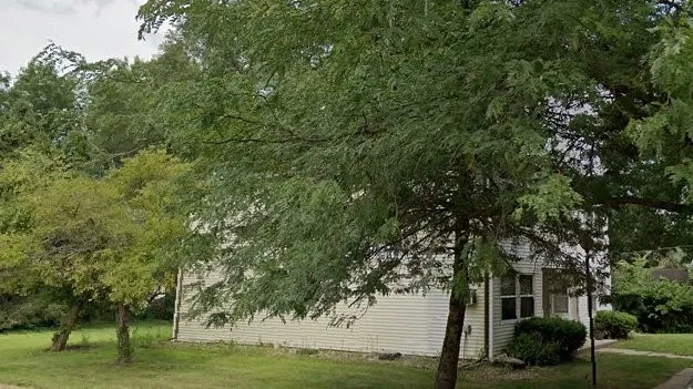 a view of a trees in a yard