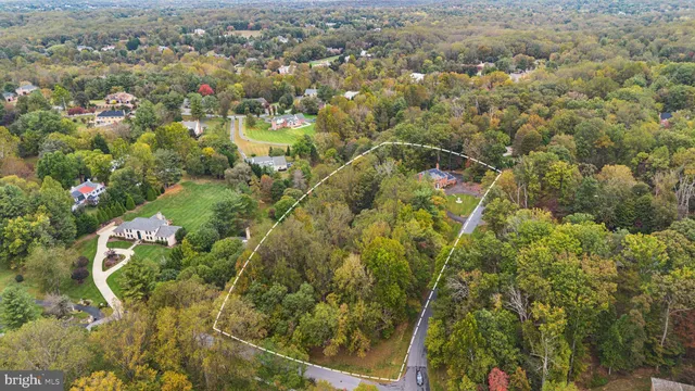 a living room with furniture flowers and a chandelier