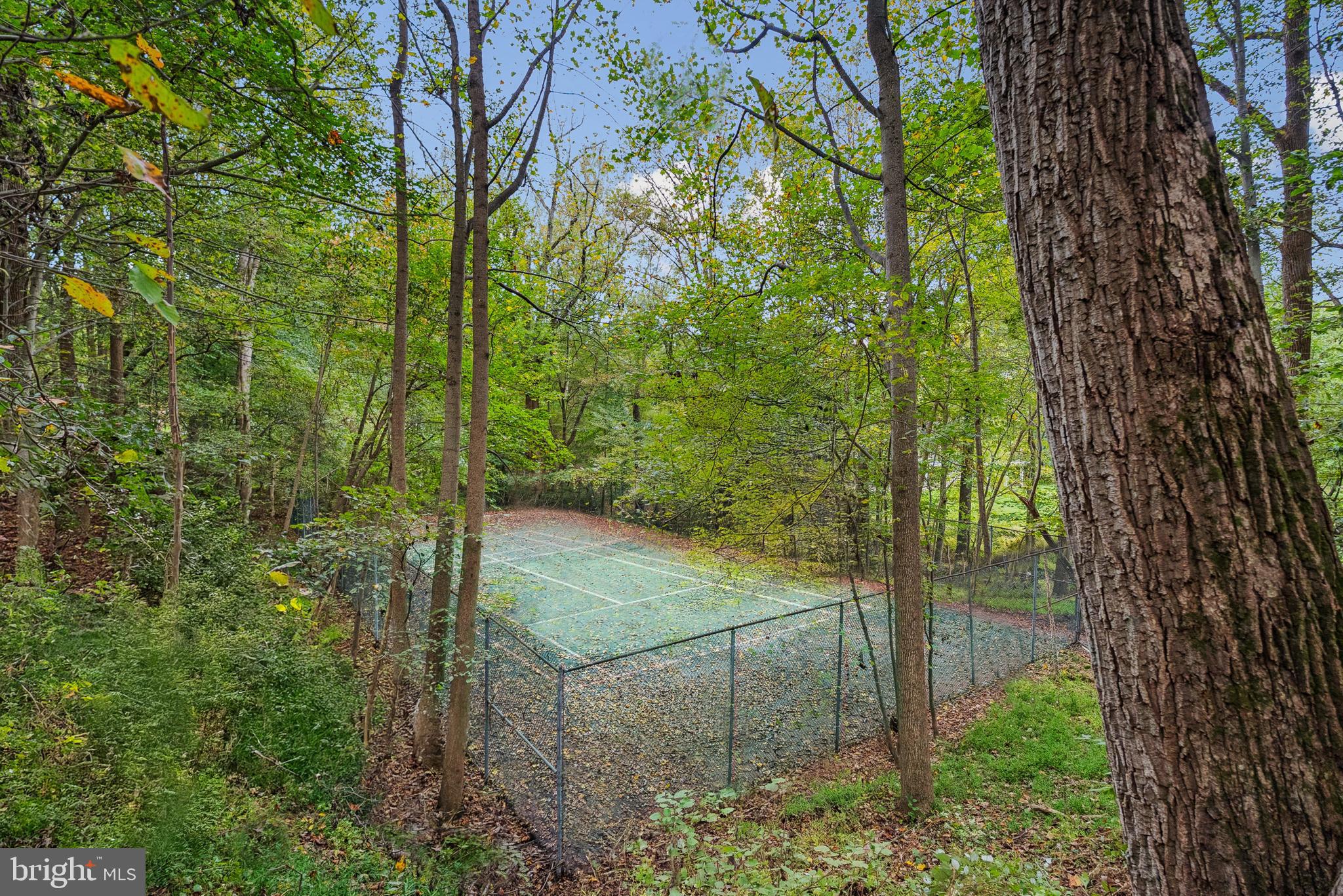 10900 Tara Road Potomac, MD 20854 - Photo 33 of 33 a view of a yard