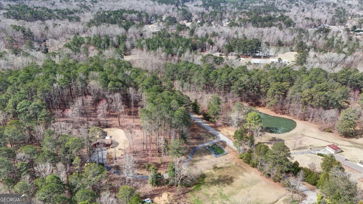 1043 Wilkerson Road Southwest Rome, GA 30165 - Photo 12 of 52 a view of a forest with trees