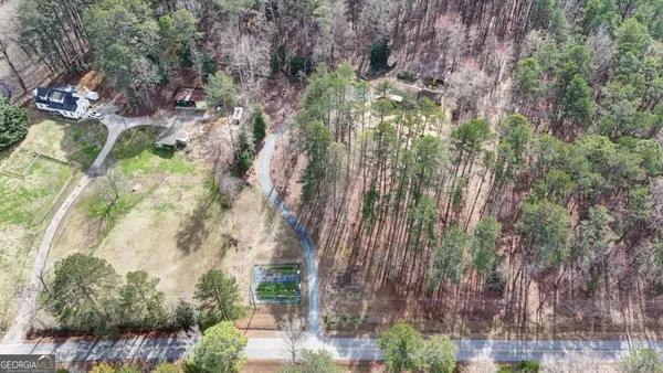 a view of a forest with lots of trees