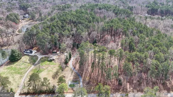 a view of a forest