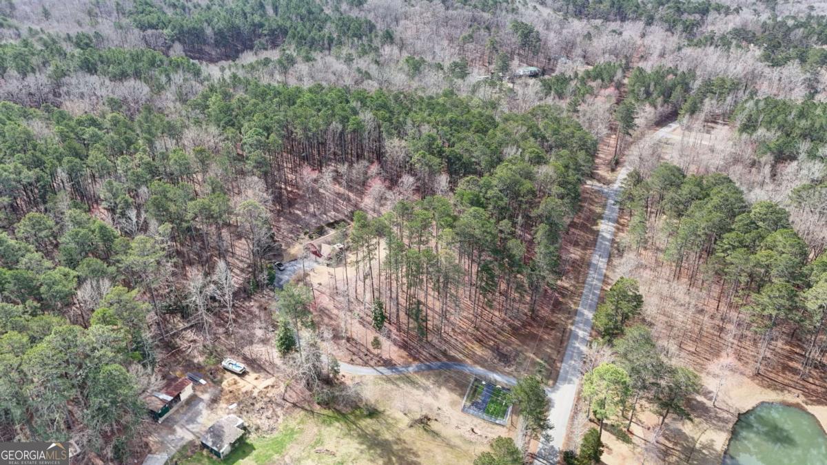 1043 Wilkerson Road Southwest Rome, GA 30165 - Photo 10 of 52 a view of a forest with lots of trees