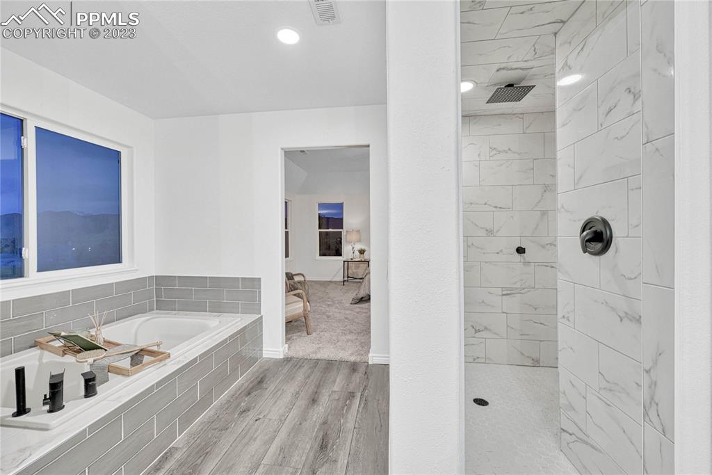 1185 Bowstring Road Monument, CO 80132 - Photo 27 of 46 a bathroom with a bathtub and a shower