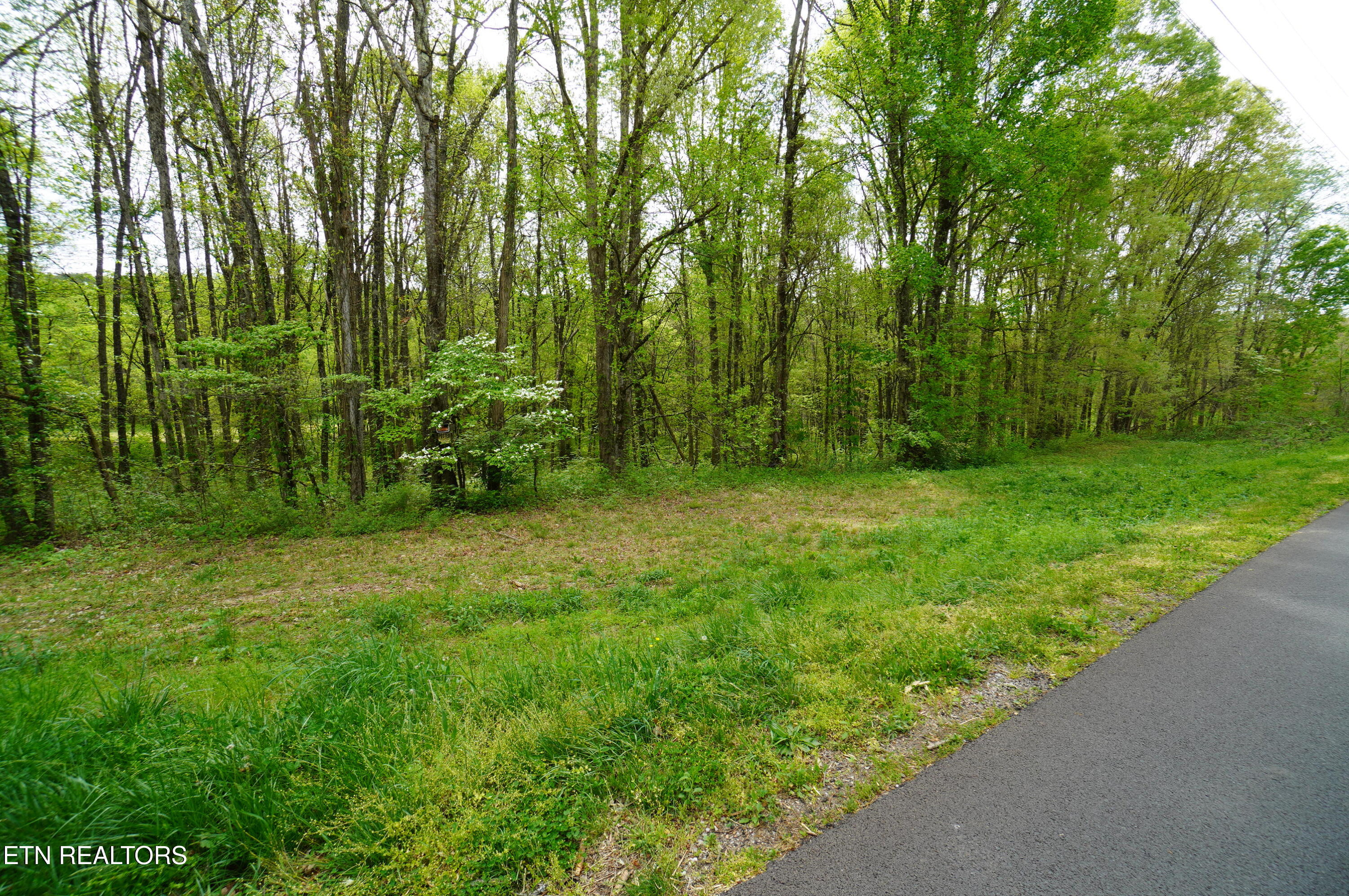 19 Pleasant View Cemetery Road New Market, TN 37820 - Photo 23 of 26 add on photos (25)