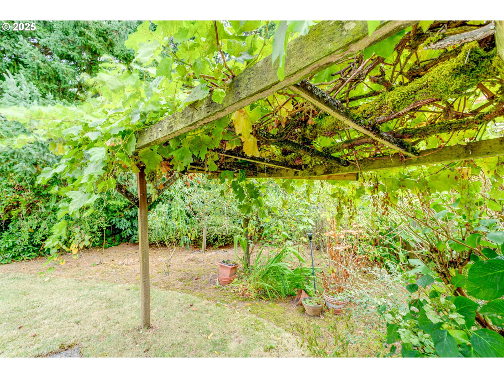 1114 Northeast 137th Avenue Portland, OR 97230 - Photo 39 of 45 a backyard of a house with lots of green space