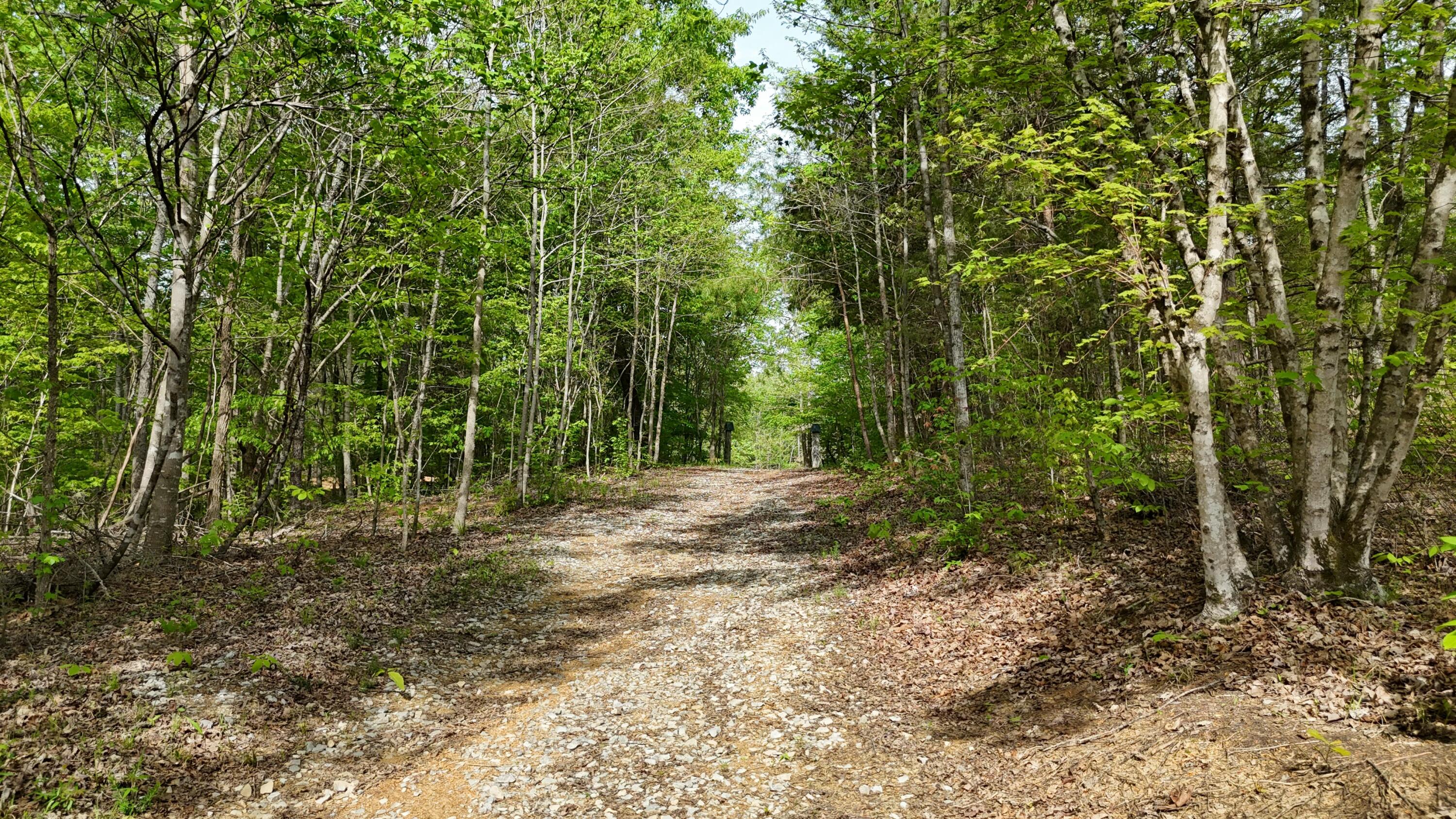 311 Old York Road Cleveland, TN 37323 - Photo 1 of 10 tempImageTXP06j