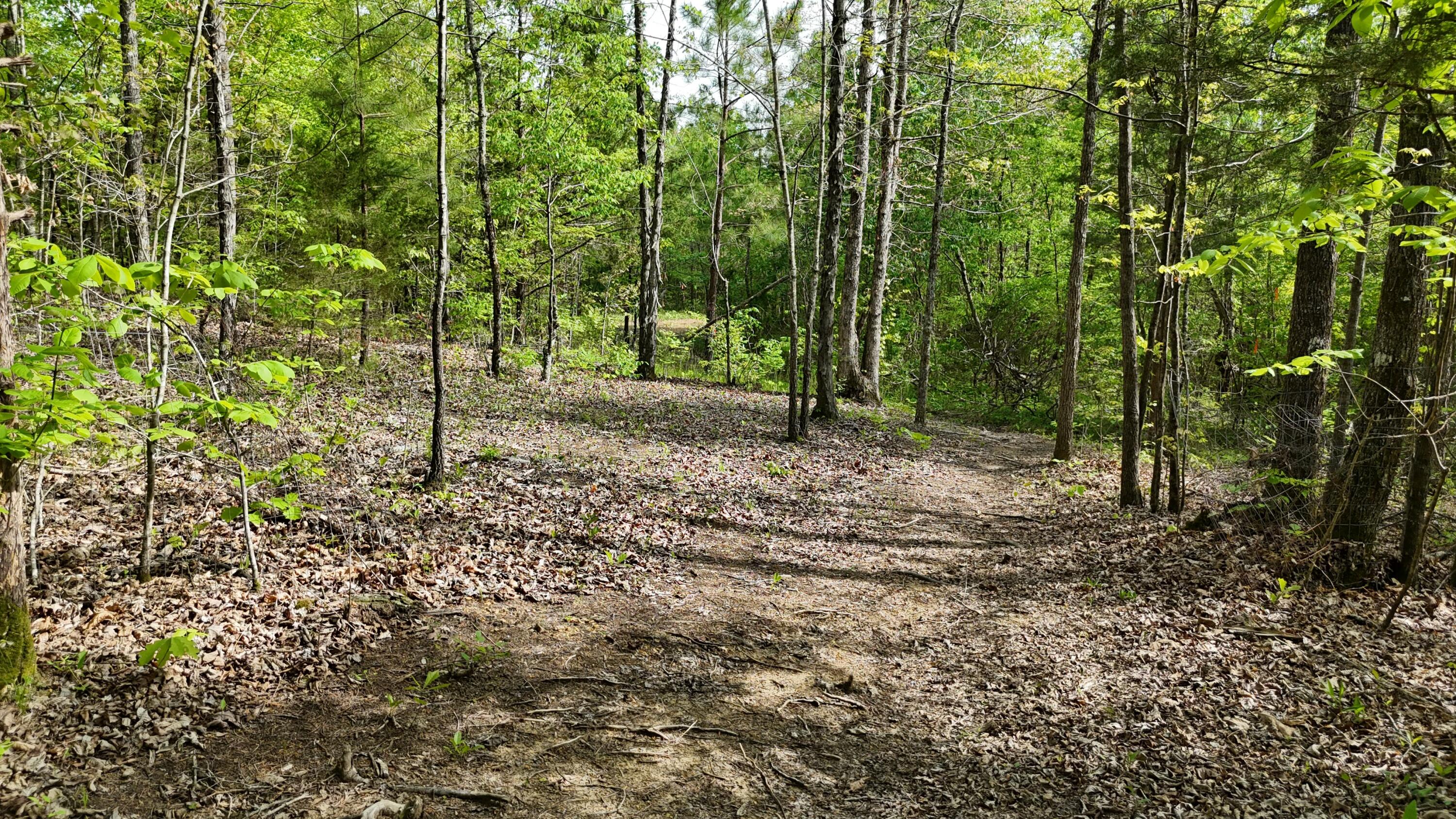 311 Old York Road Cleveland, TN 37323 - Photo 3 of 10 tempImageNeAXsh