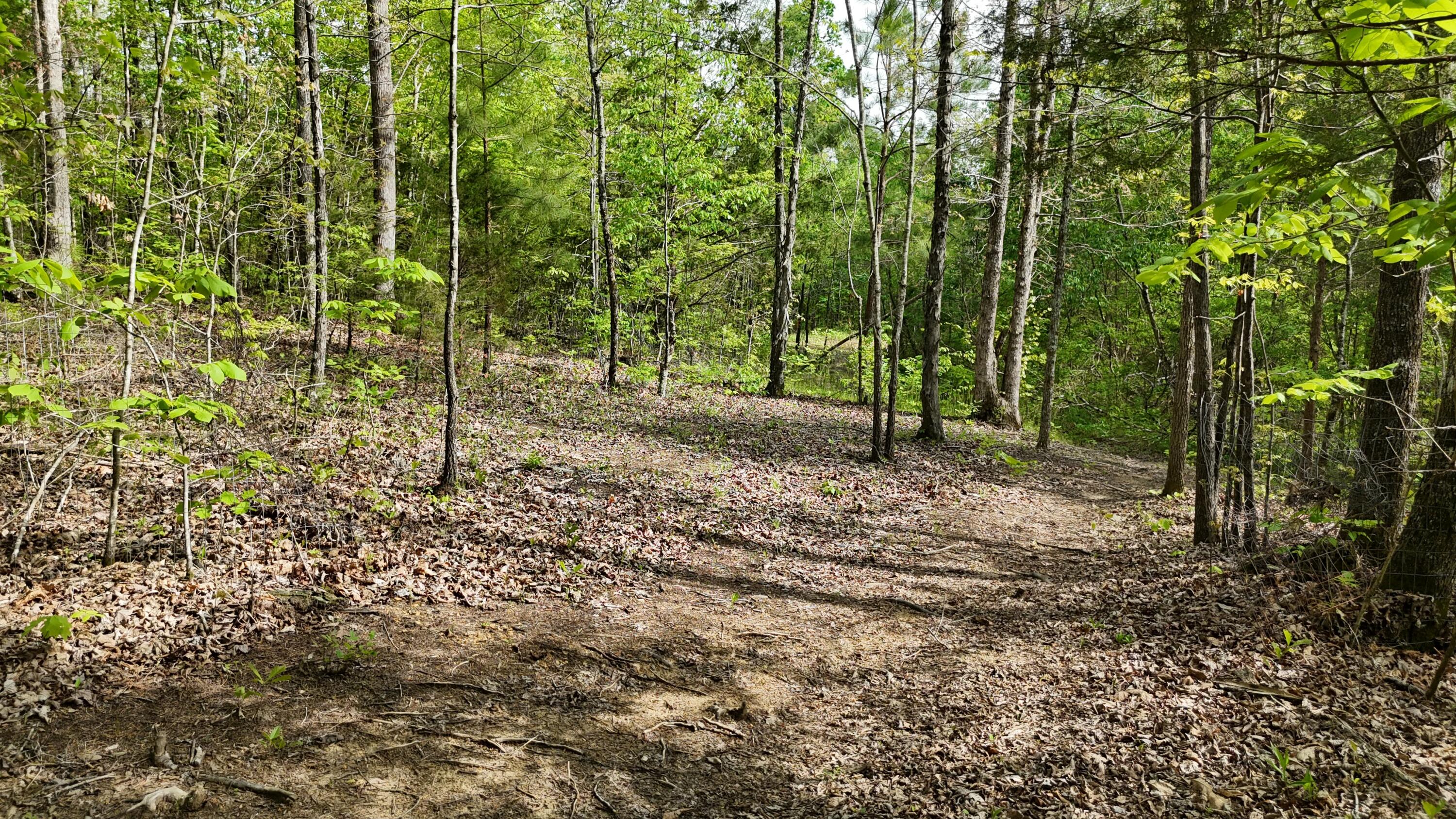 311 Old York Road Cleveland, TN 37323 - Photo 4 of 10 tempImageRafp1S