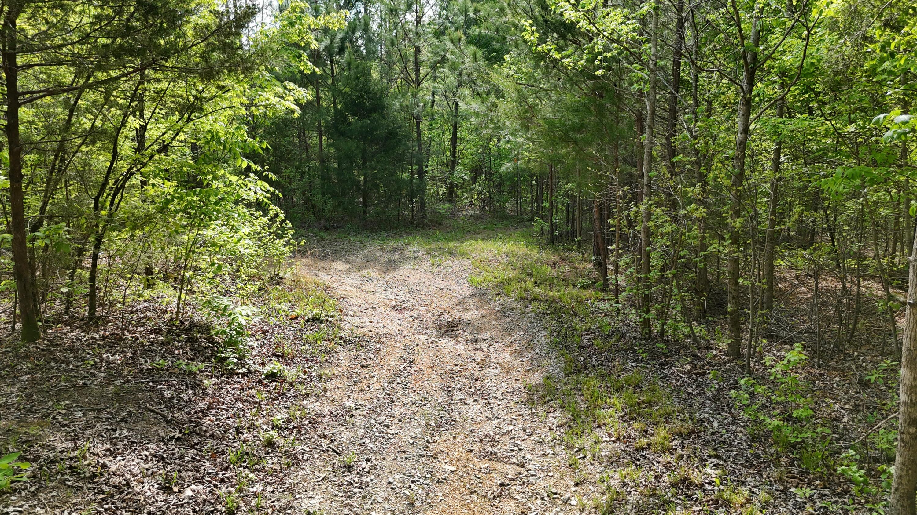 311 Old York Road Cleveland, TN 37323 - Photo 5 of 10 tempImageTlBXDZ