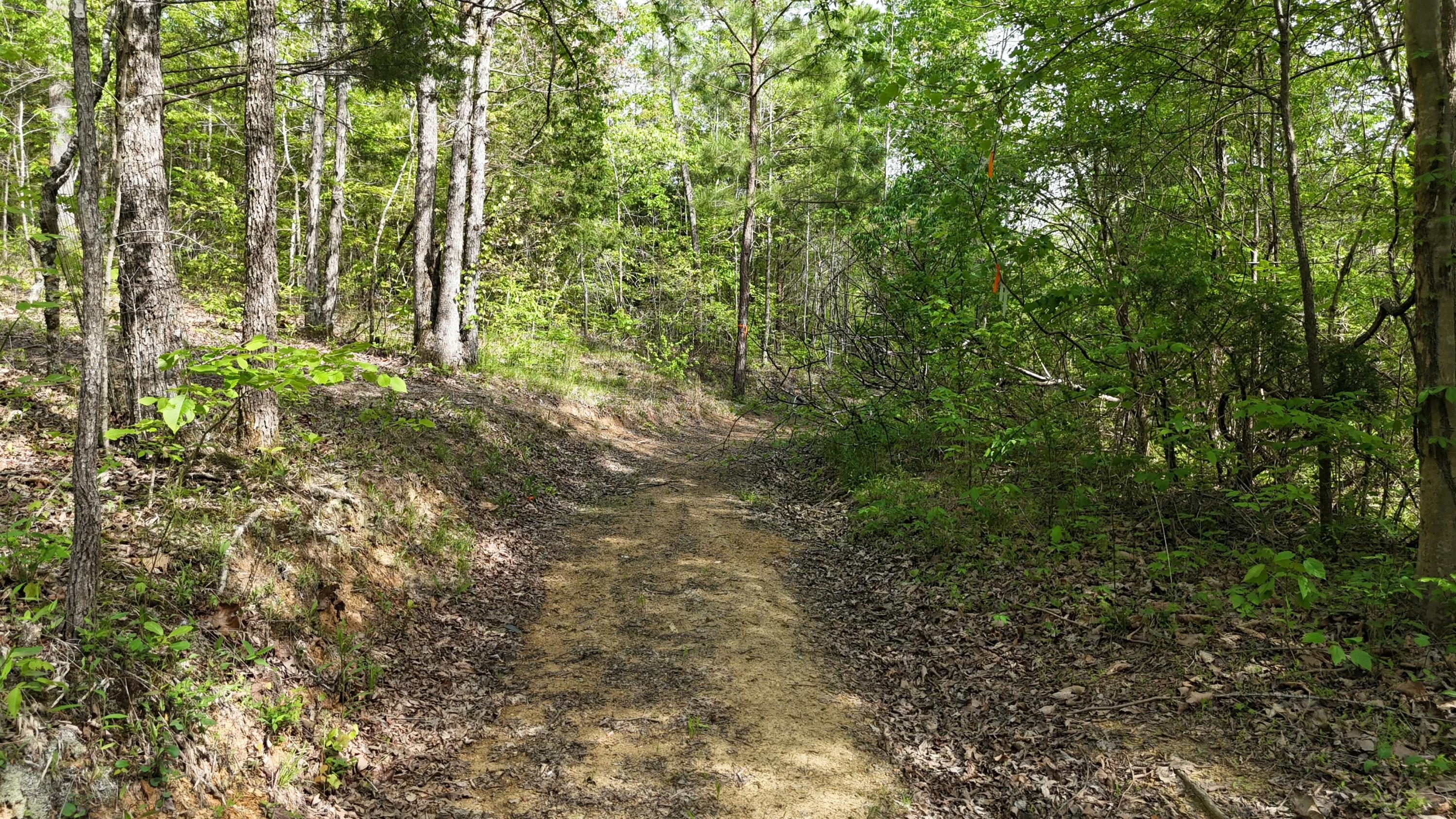 311 Old York Road Cleveland, TN 37323 - Photo 6 of 10 tempImageqJ3G14