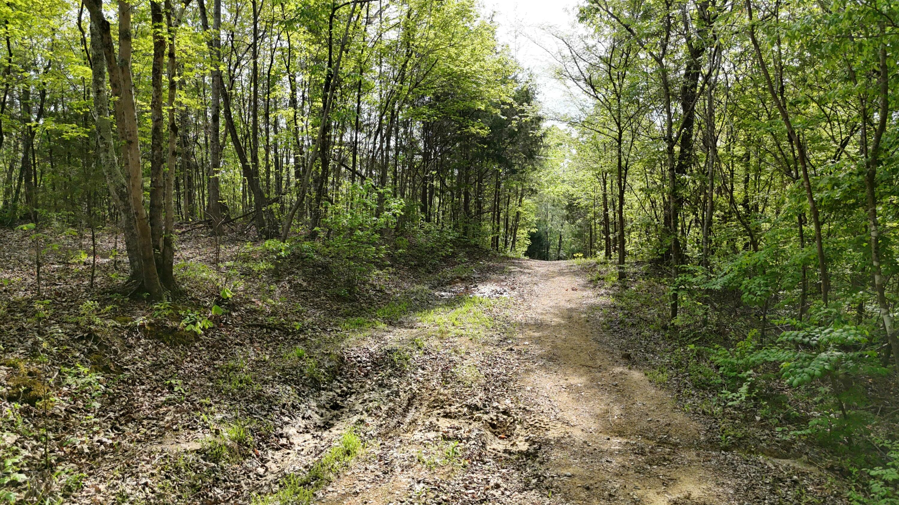 311 Old York Road Cleveland, TN 37323 - Photo 7 of 10 tempImageMunyuW