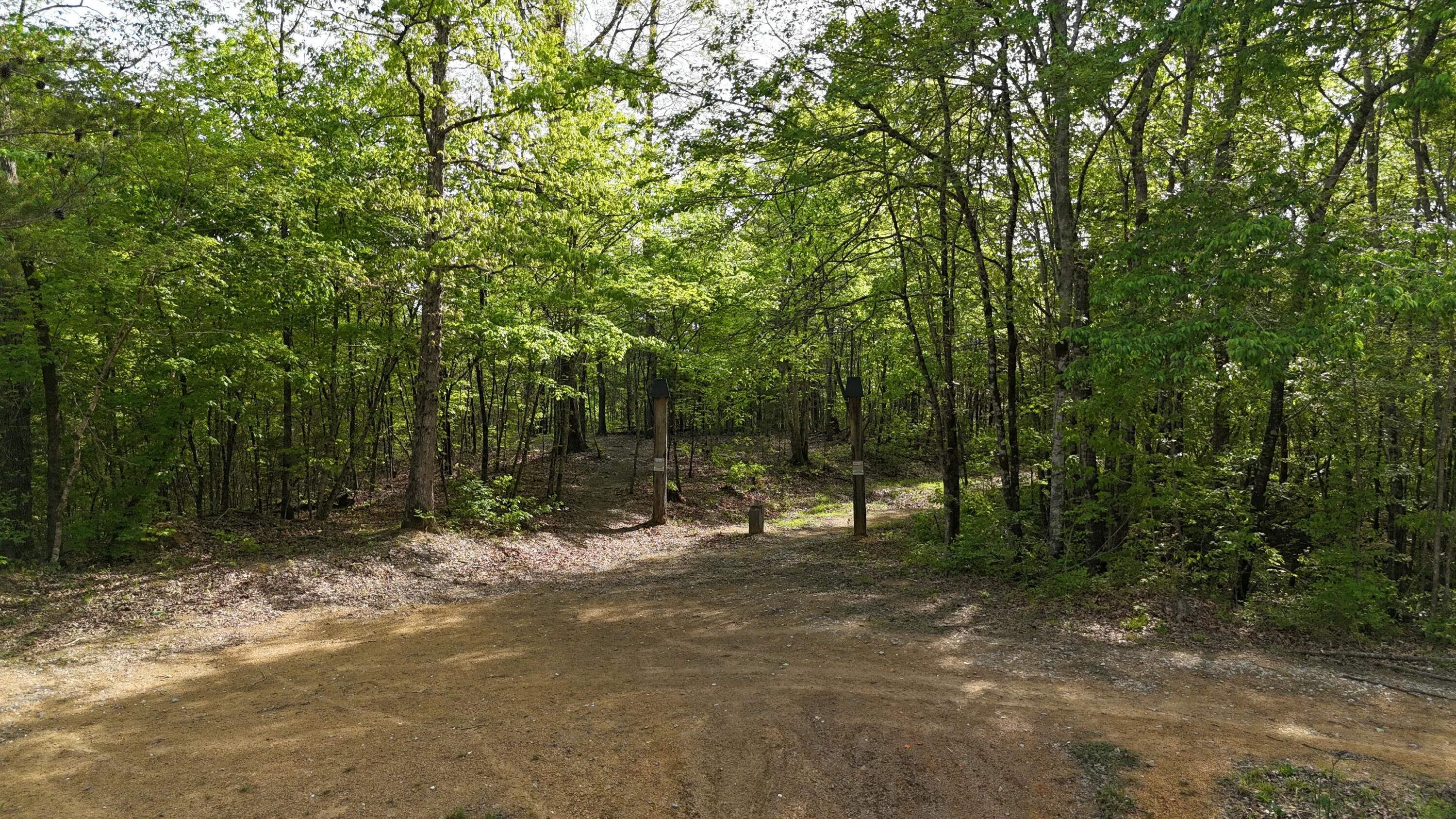 311 Old York Road Cleveland, TN 37323 - Photo 9 of 10 tempImagebQQDVs