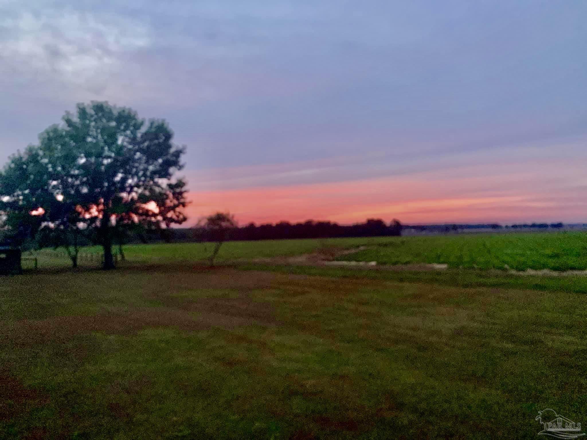 1911 Ard Field Road Jay, FL 32565 - Photo 3 of 47 a view of a golf course with a lake