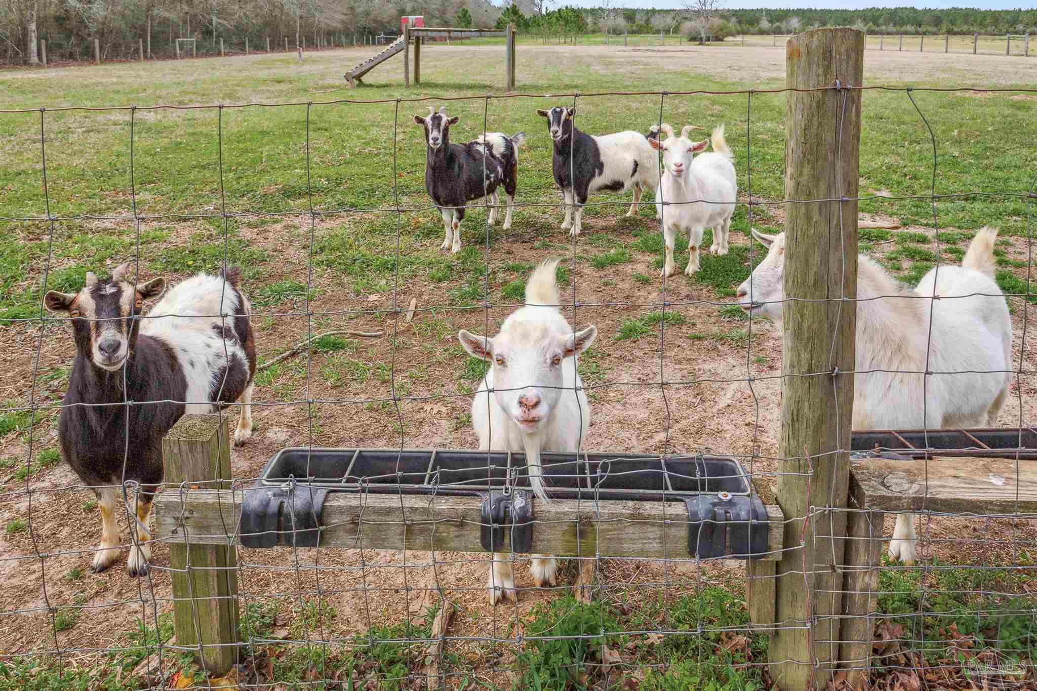 1911 Ard Field Road Jay, FL 32565 - Photo 37 of 47