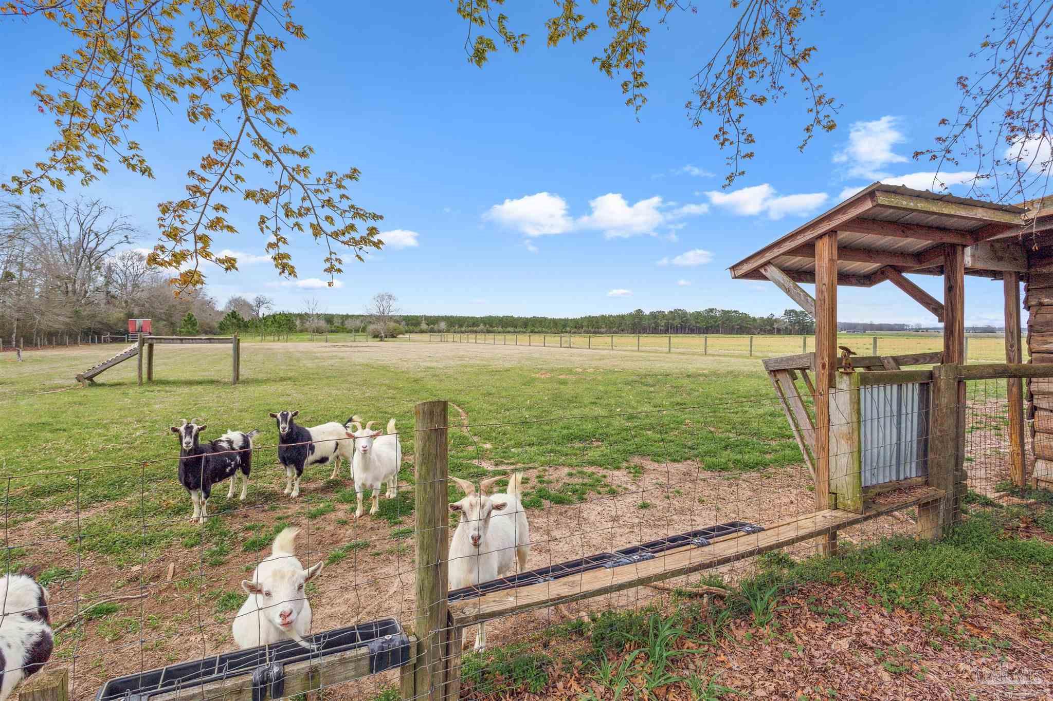 1911 Ard Field Road Jay, FL 32565 - Photo 38 of 47