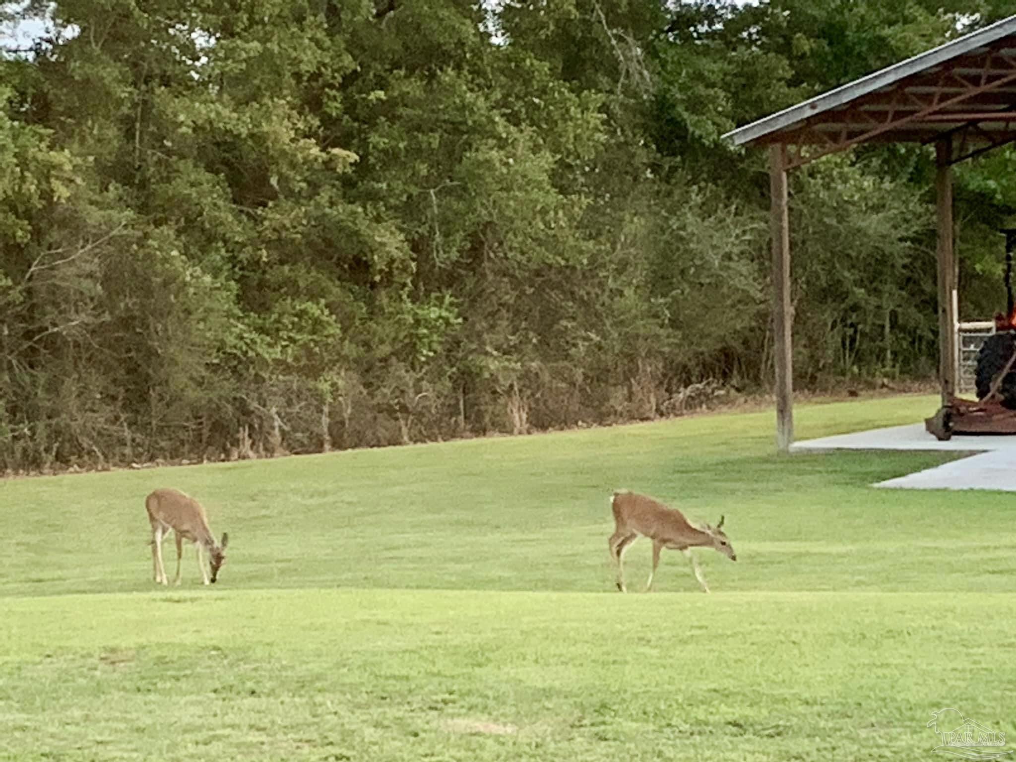 1911 Ard Field Road Jay, FL 32565 - Photo 41 of 47 a view of a lake