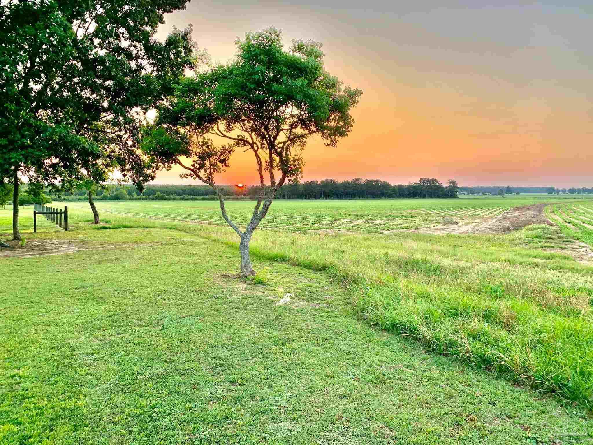 1911 Ard Field Road Jay, FL 32565 - Photo 45 of 47 a view of field with trees in the background