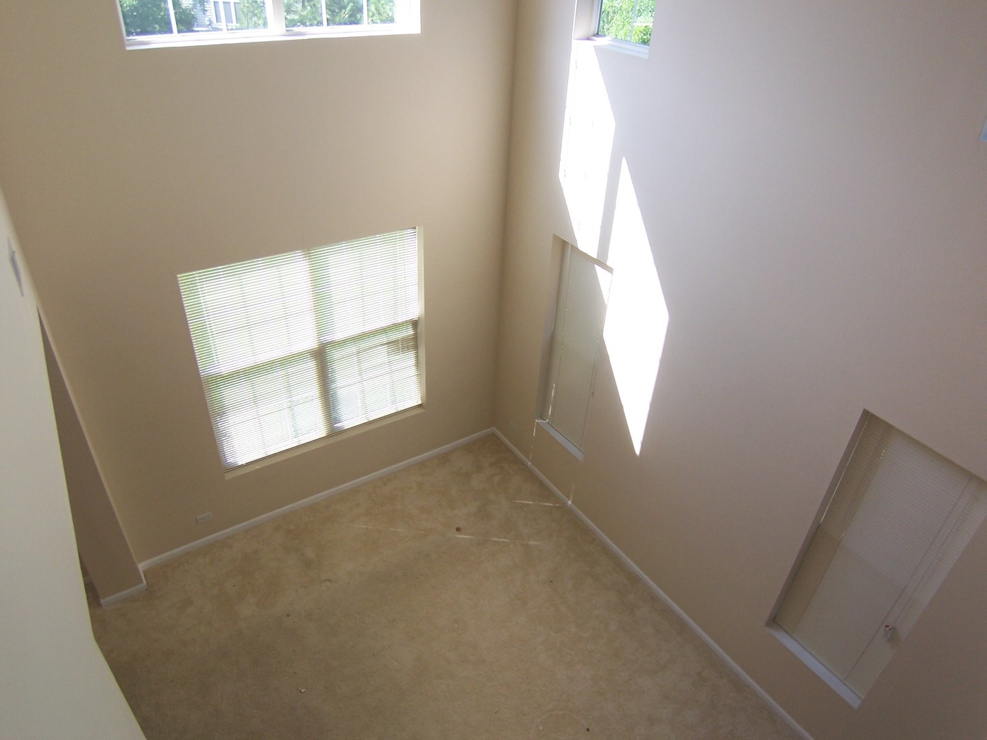2817 Collins Court Naperville, IL 60563 - Photo 16 of 29