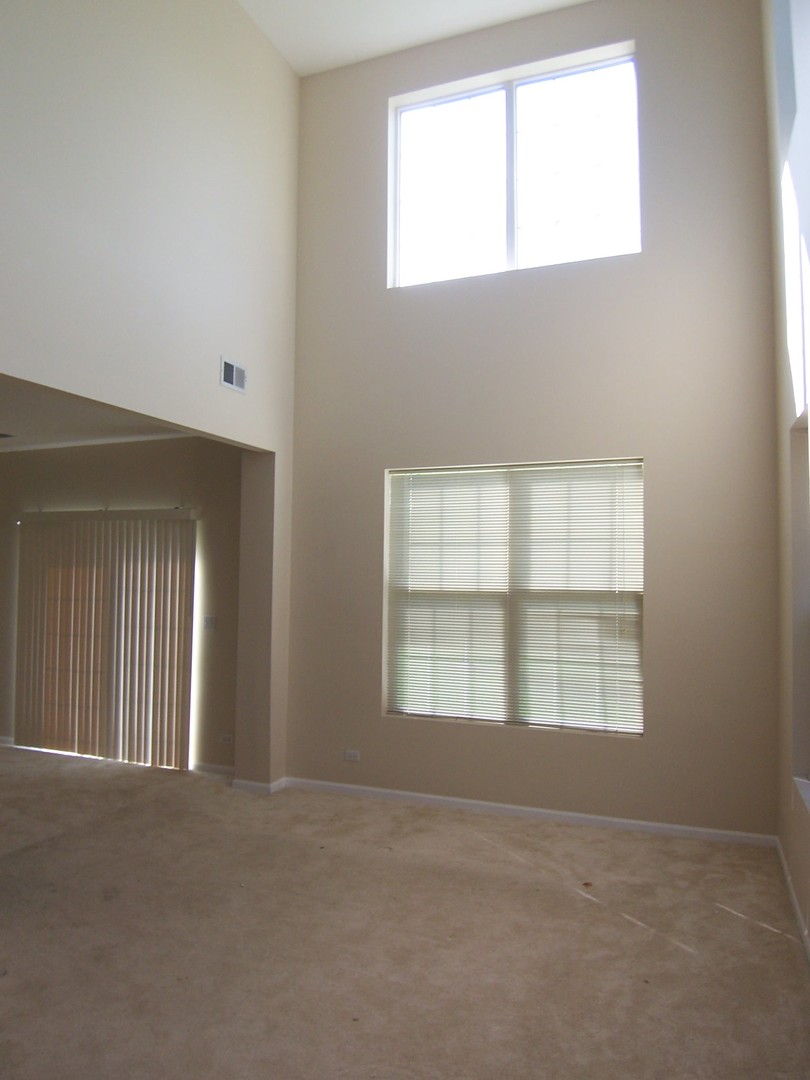 2817 Collins Court Naperville, IL 60563 - Photo 25 of 29