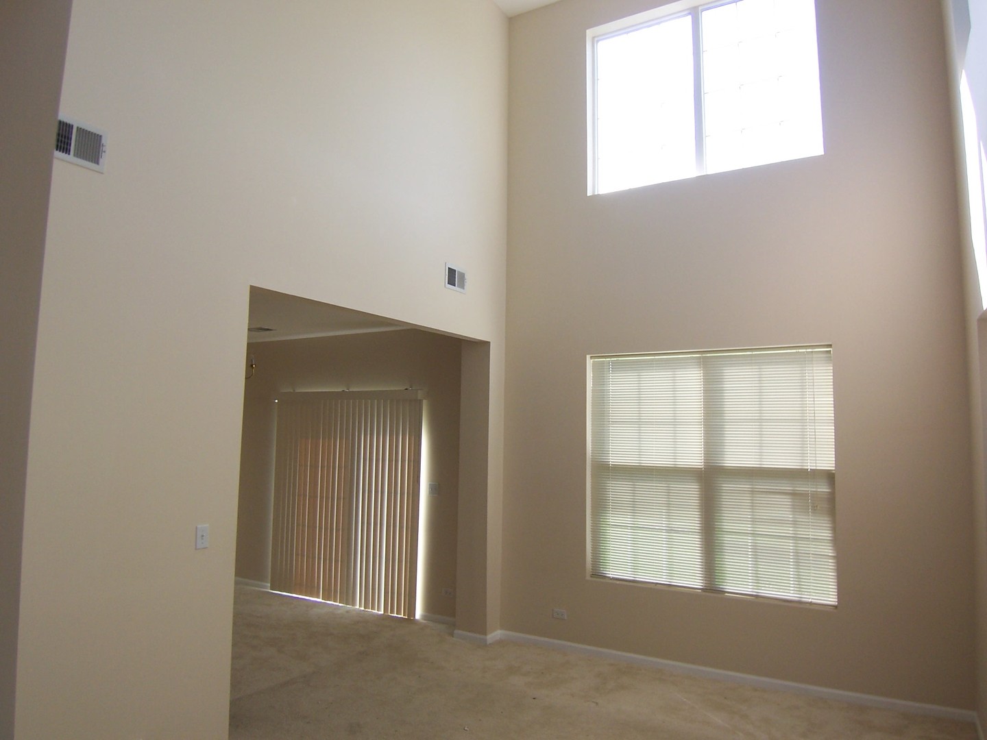 2817 Collins Court Naperville, IL 60563 - Photo 26 of 29
