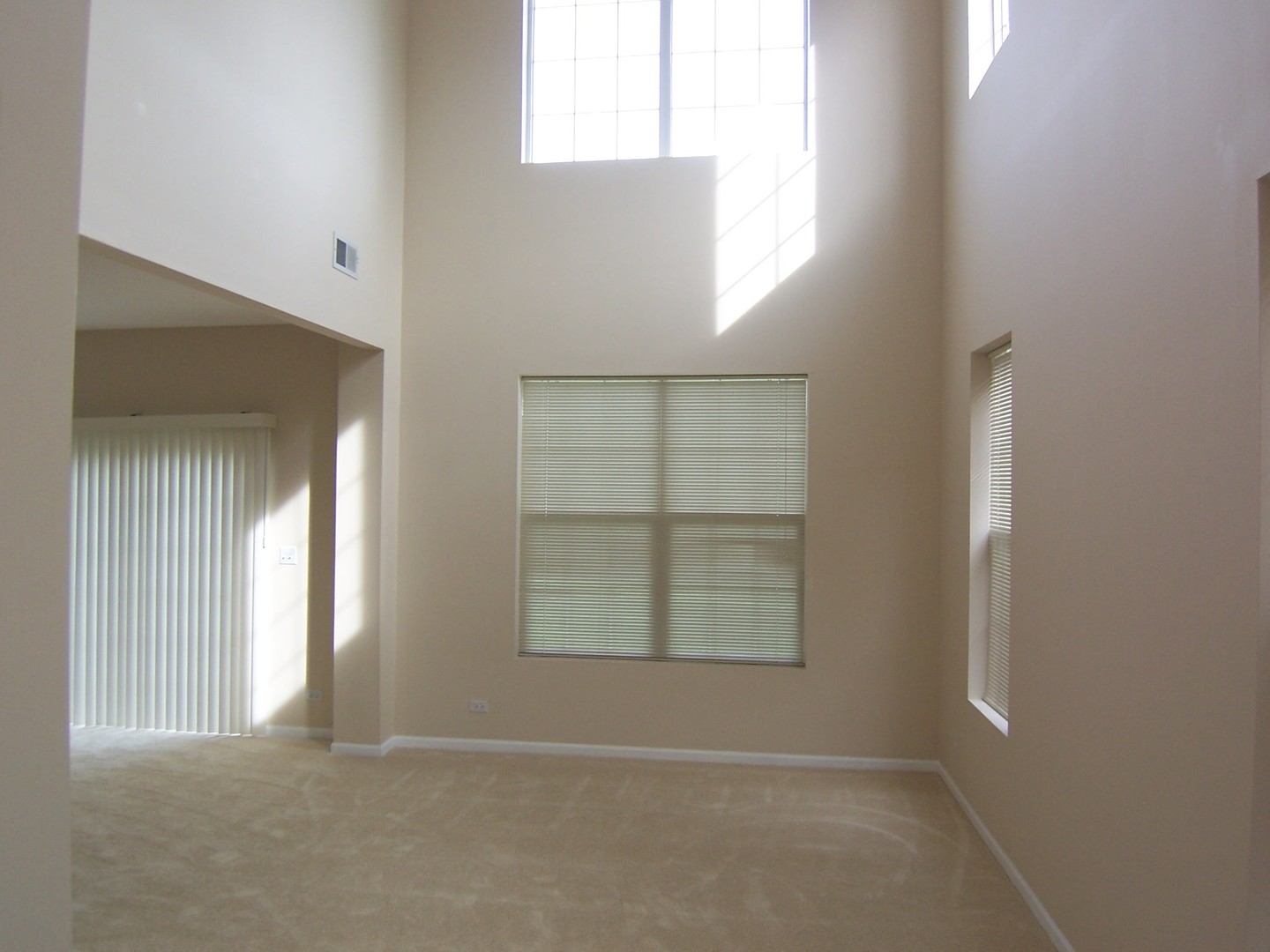 2817 Collins Court Naperville, IL 60563 - Photo 27 of 29