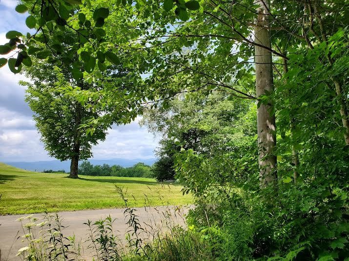 78 Cooks Pond Road Weathersfield, VT 05156 - Photo 3 of 38