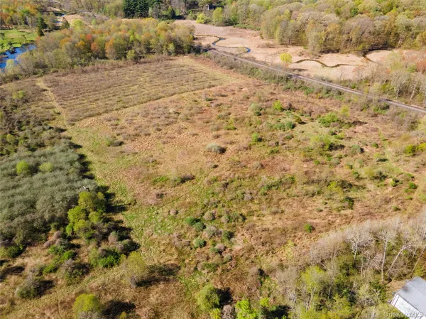 a view of a bunch of trees and bushes