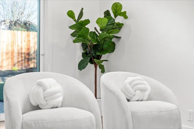 a living room with furniture and a potted plant