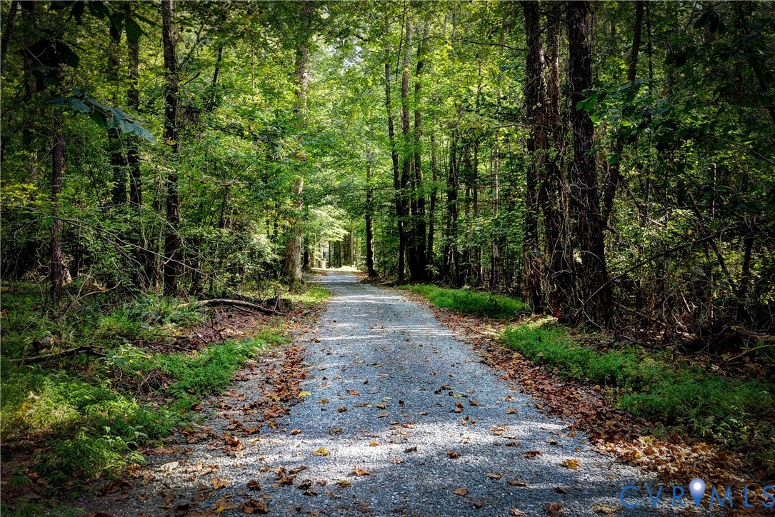 8615 Historical Path Road New Kent, VA 23124 - Photo 50 of 50 a view of a forest with trees in the background