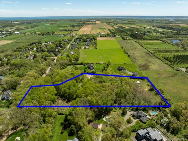 a view of a lake with a houses